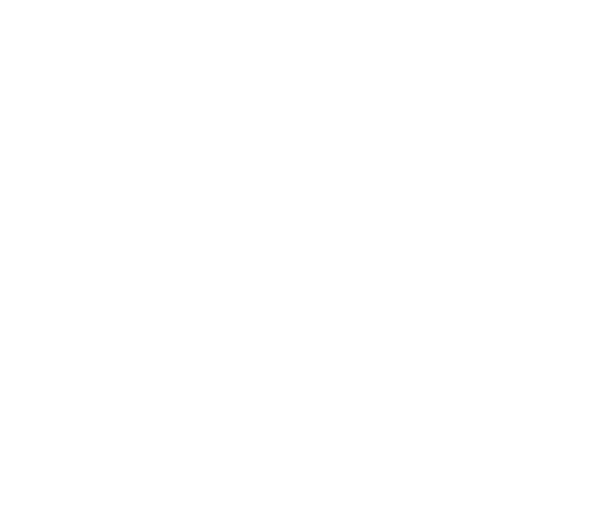 Architectural survey with laser scanner